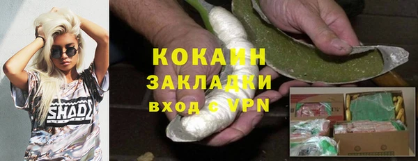 шишки Володарск