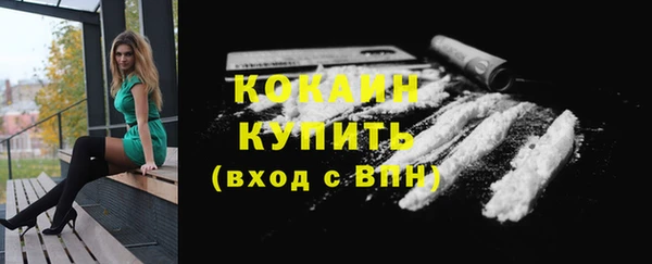 шишки Володарск